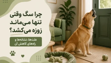 چرا سگ زوزه می کشد