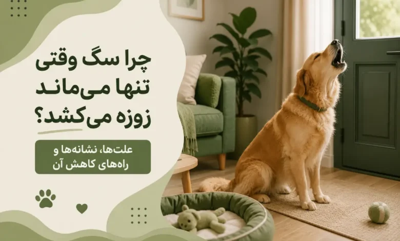 چرا سگ زوزه می کشد